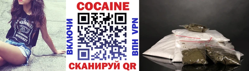 Купить закладки  Новоалтайск  Кокаин FishScale 