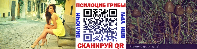 Купить  Новоалтайск  Галлюциногенные грибы ЛСД 