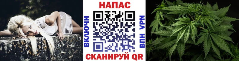 Купить  Новоалтайск  Каннабис THC 21% 
